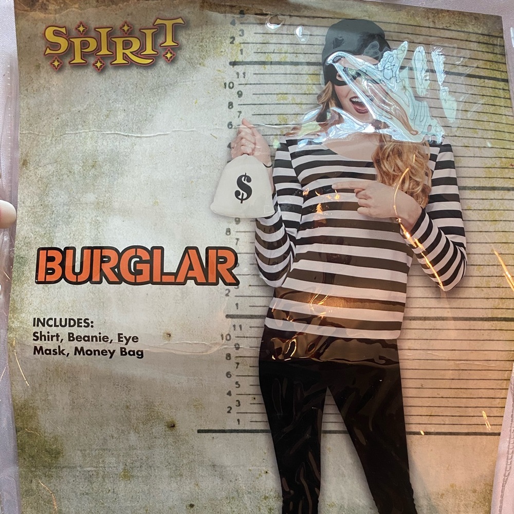 Women’s burglar costume
